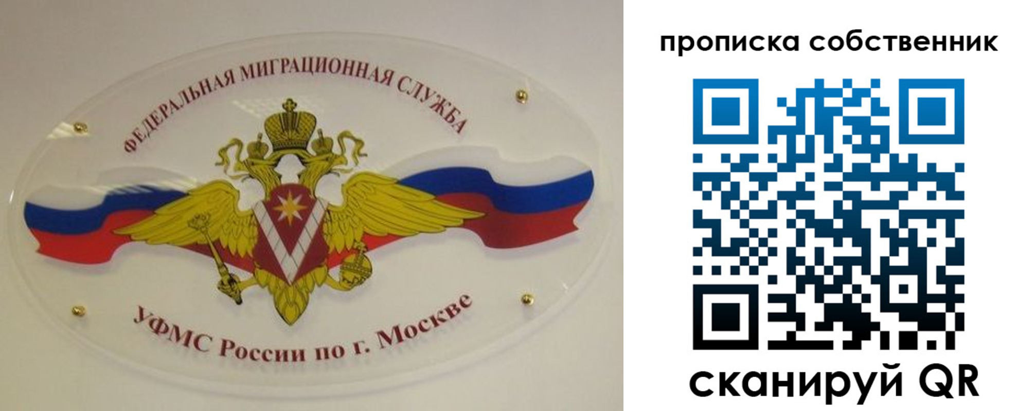 прописка 2025 в Шумихе